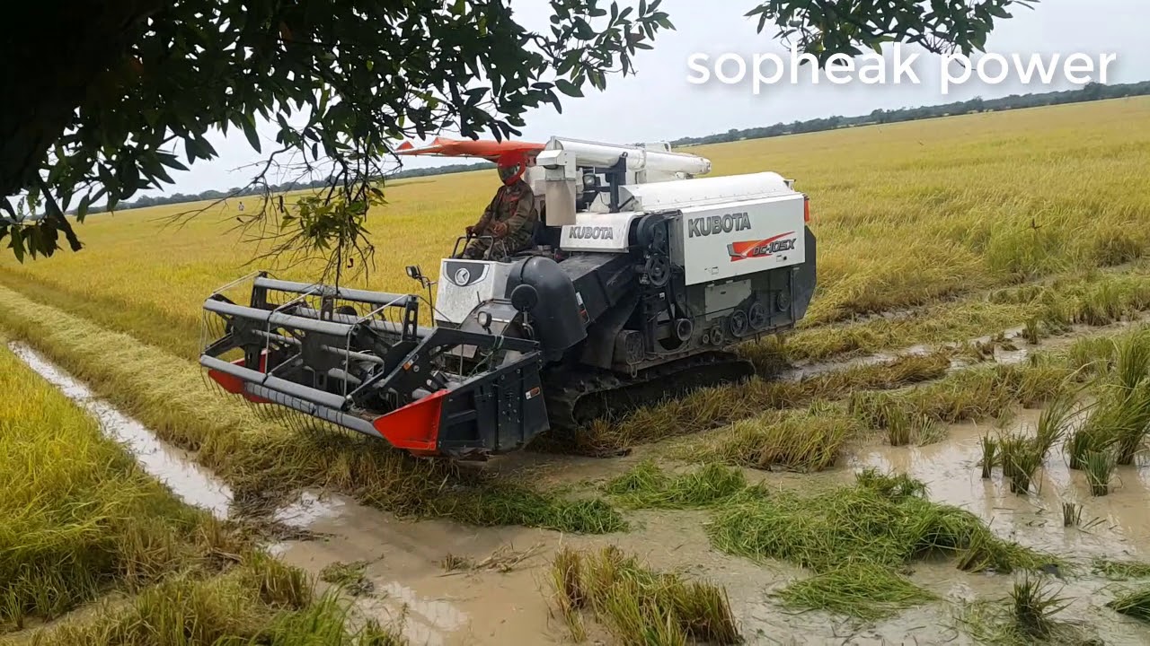 how do you spell kubota